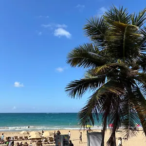 https://apt-condado-tropical-studio.comcaribbean.com